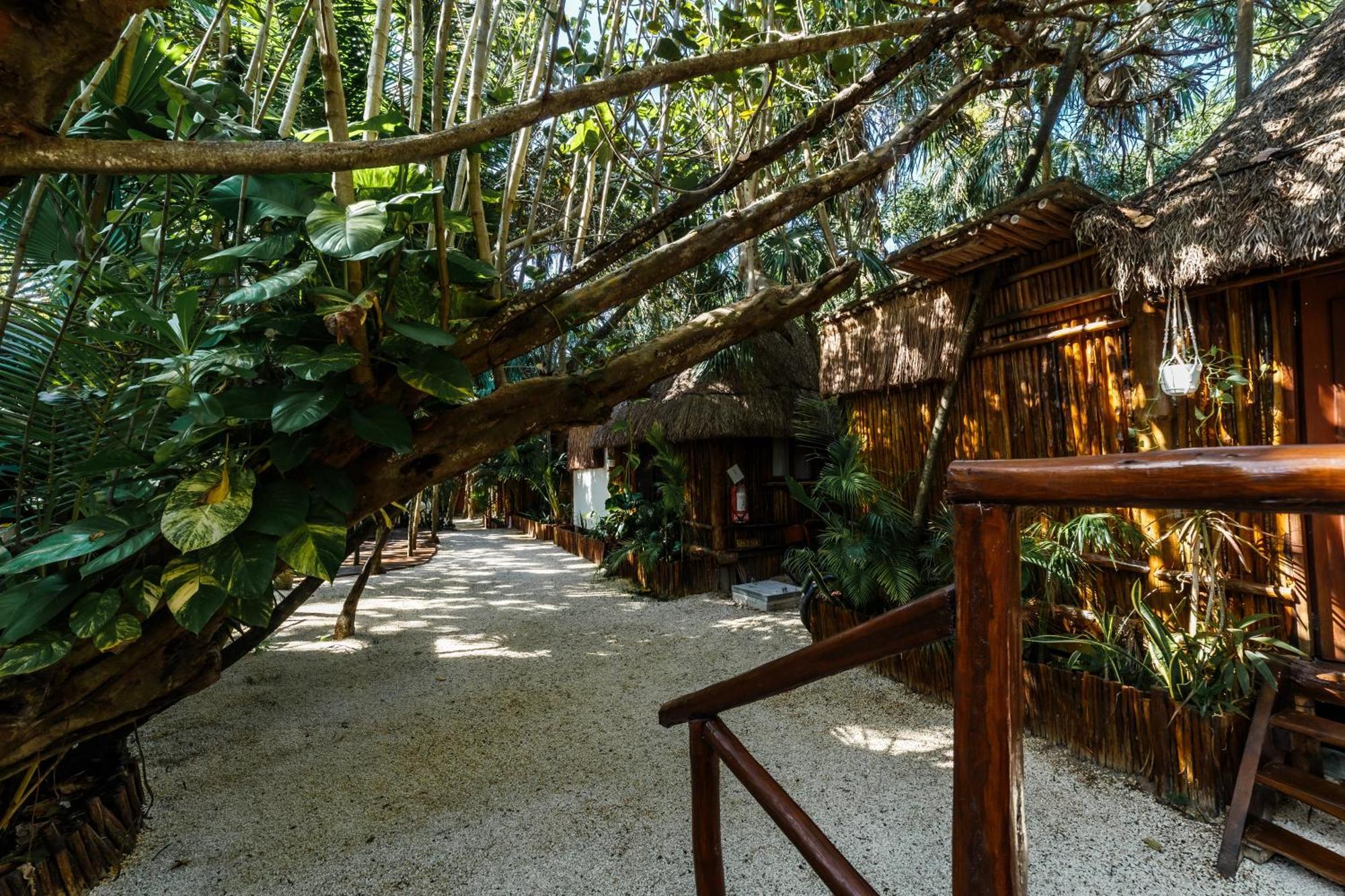 Hotel Eco Banitas Tulum Extérieur photo