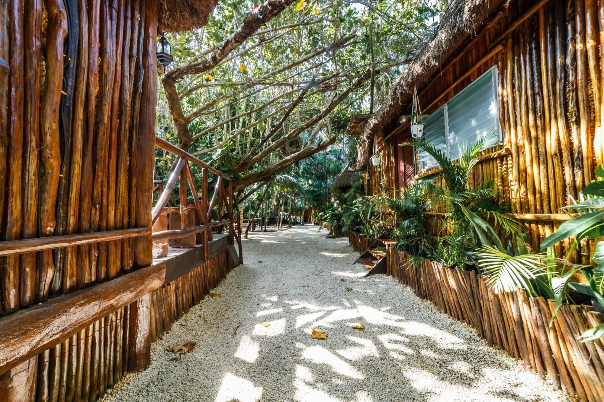 Hotel Eco Banitas Tulum Extérieur photo